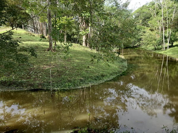 Costa Rica Pond