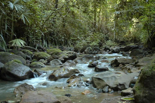 Costa Rica stream
